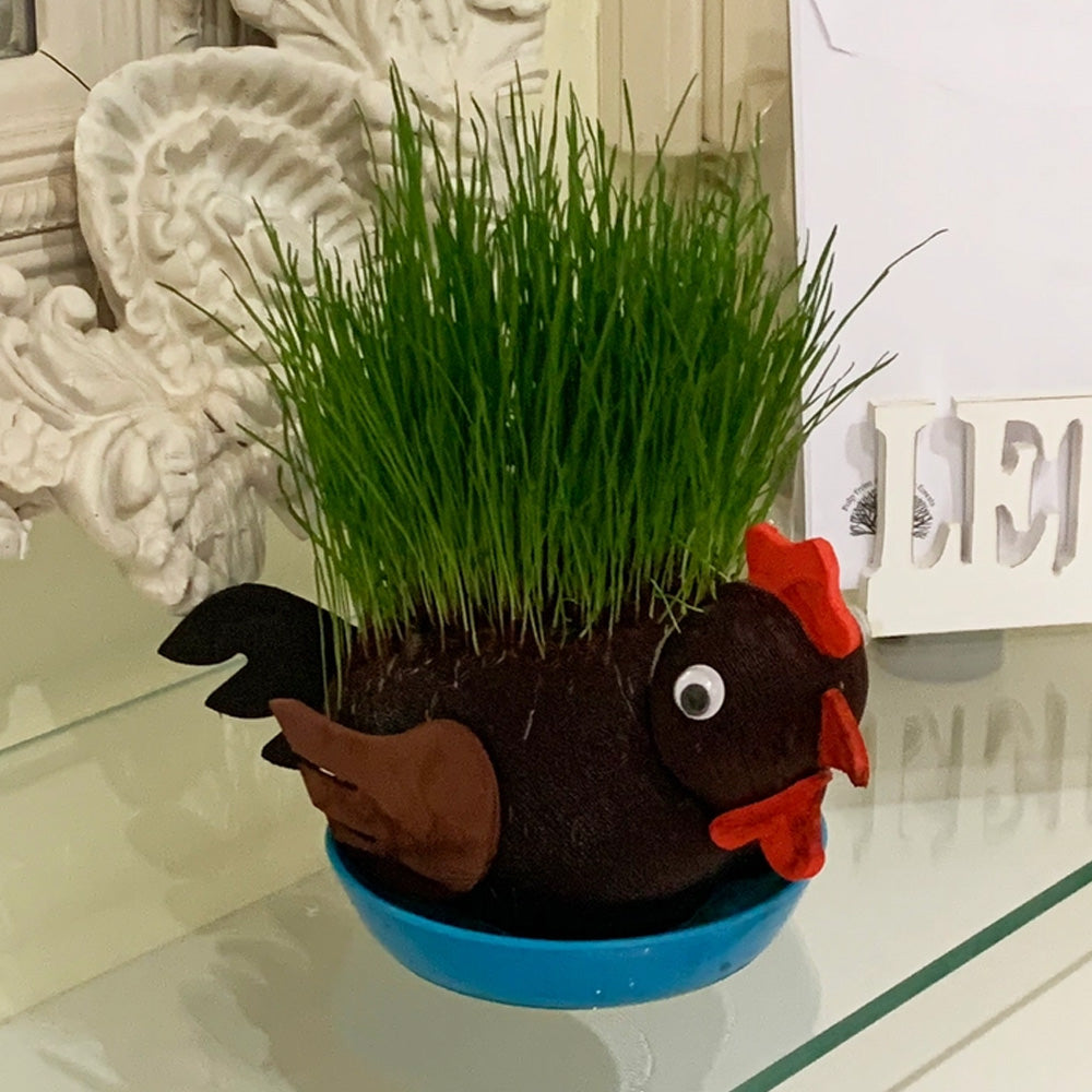 Grow Your Own Hairy Cock