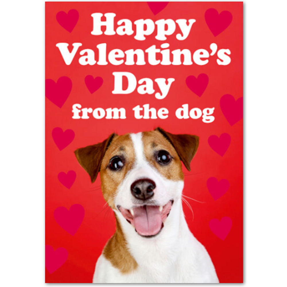 Copy of Be My Big Gay Valentine - Gay Valentines Card