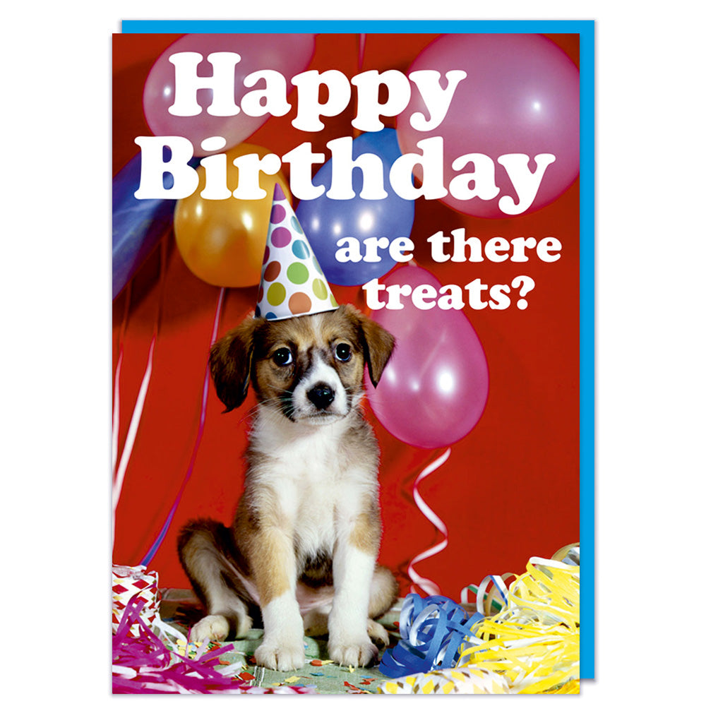 Are There Treats? - Birthday Card