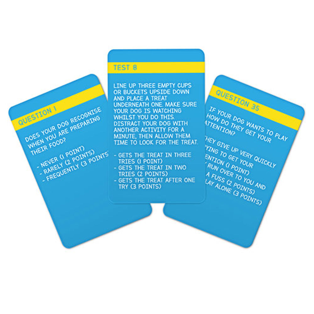 Dog IQ Test Kit