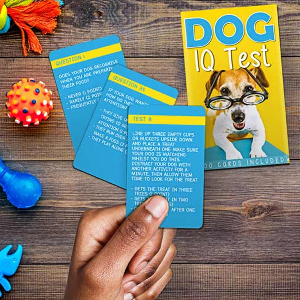 Dog IQ Test Kit