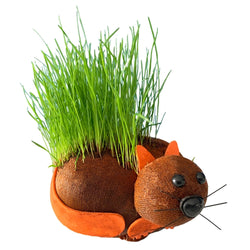 Image of Grow Your Own Hairy Pussy