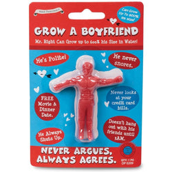 Image of Grow Your Own Boyfriend