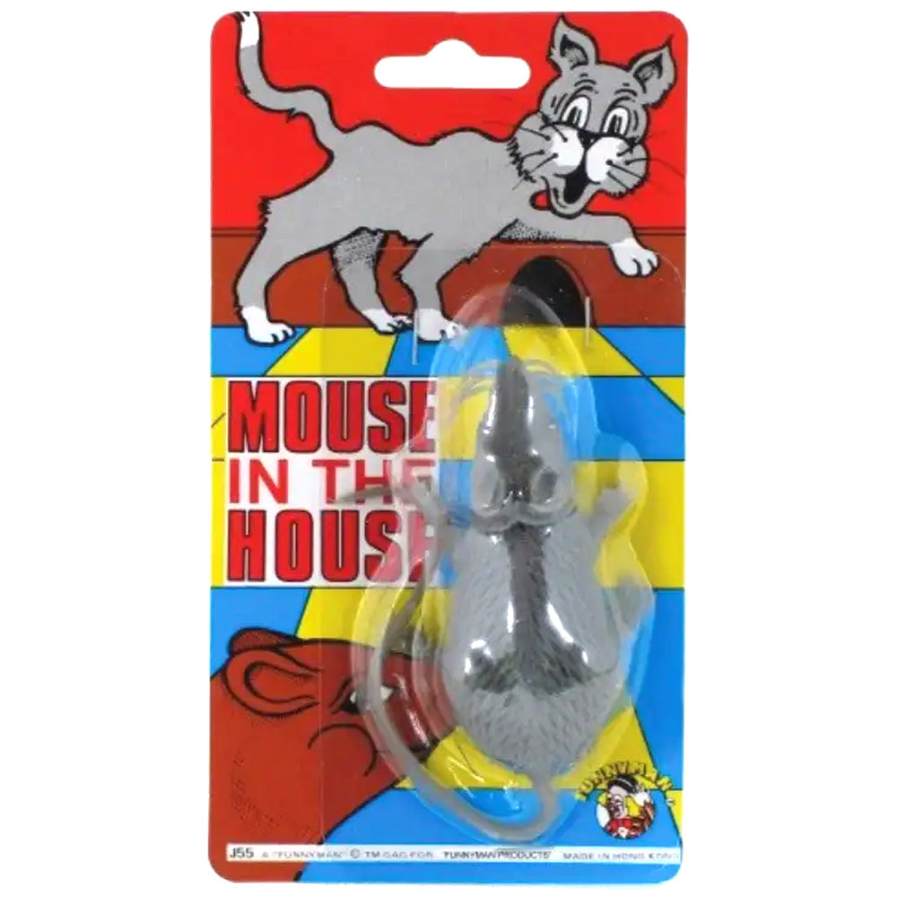 Mouse In The House