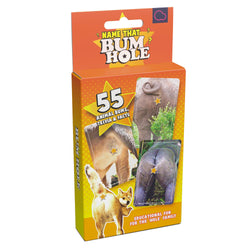 Image of Name That Bumhole Card Game