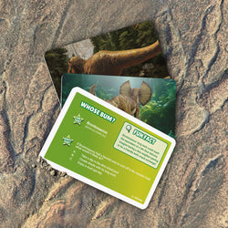 Image of Name That Bumhole (Dino Edition) Card Game