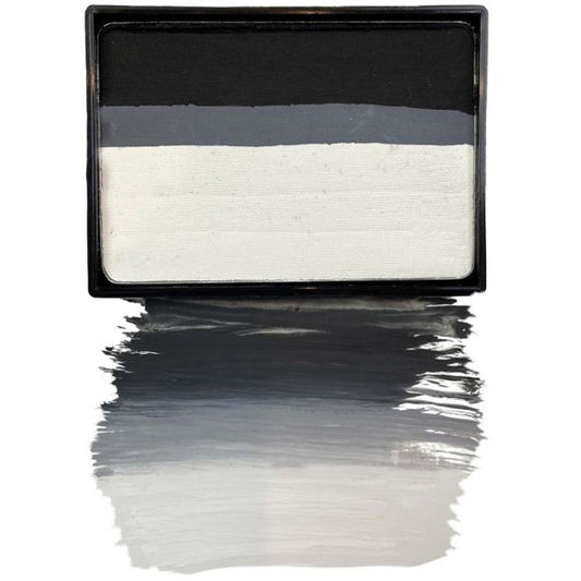 Mehron Paradise Makeup AQ Prisma Blendset - Shadow