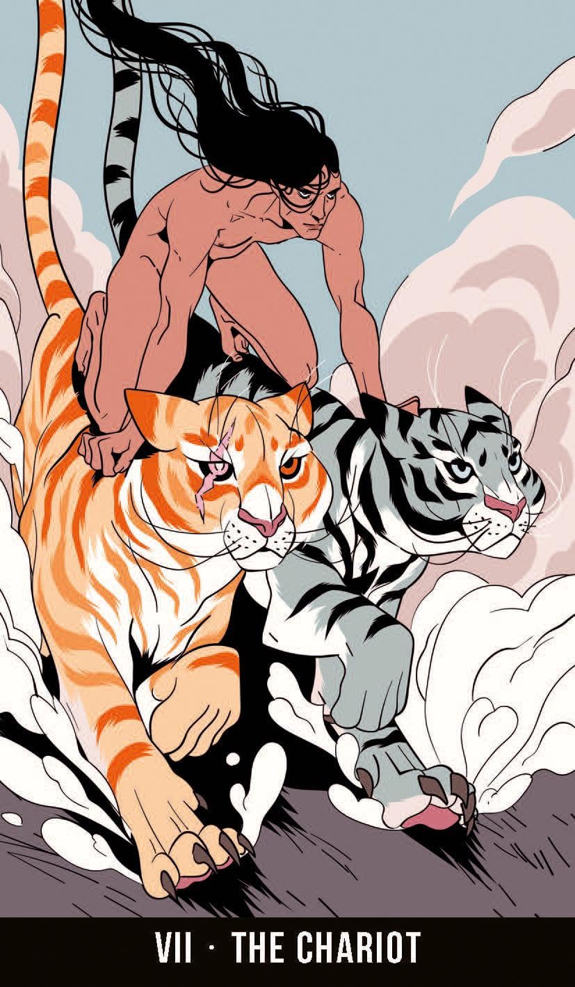 Wild Eden Tarot Deck & Guidebook